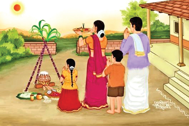 Illustration Of Pongal Festival For The Celebration Stock Illustration -  Download Image Now - iStock