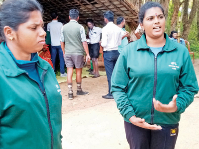 ‘Women harvester team leaders’, a concept which is a first in Sri Lanka  